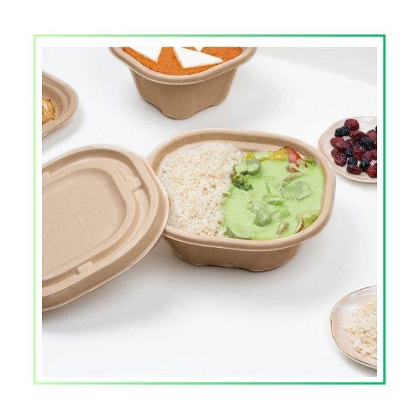 bagasse disposable container