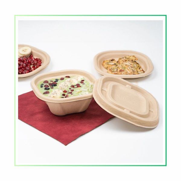 bagasse disposable container