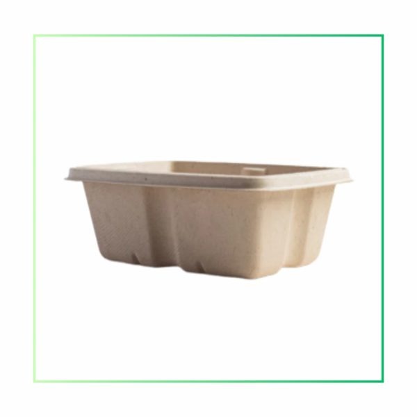 Bagasse rectangle container