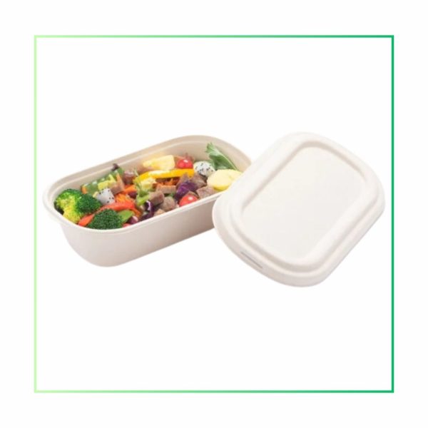 Bagasse Oval Container with Lid